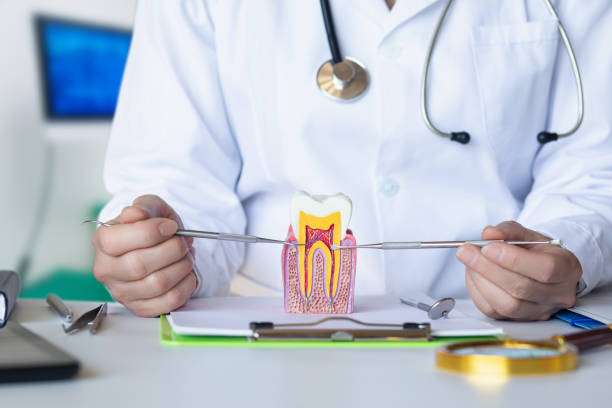 Best Emergency Root Canal Treatment in Bloomfield, IA